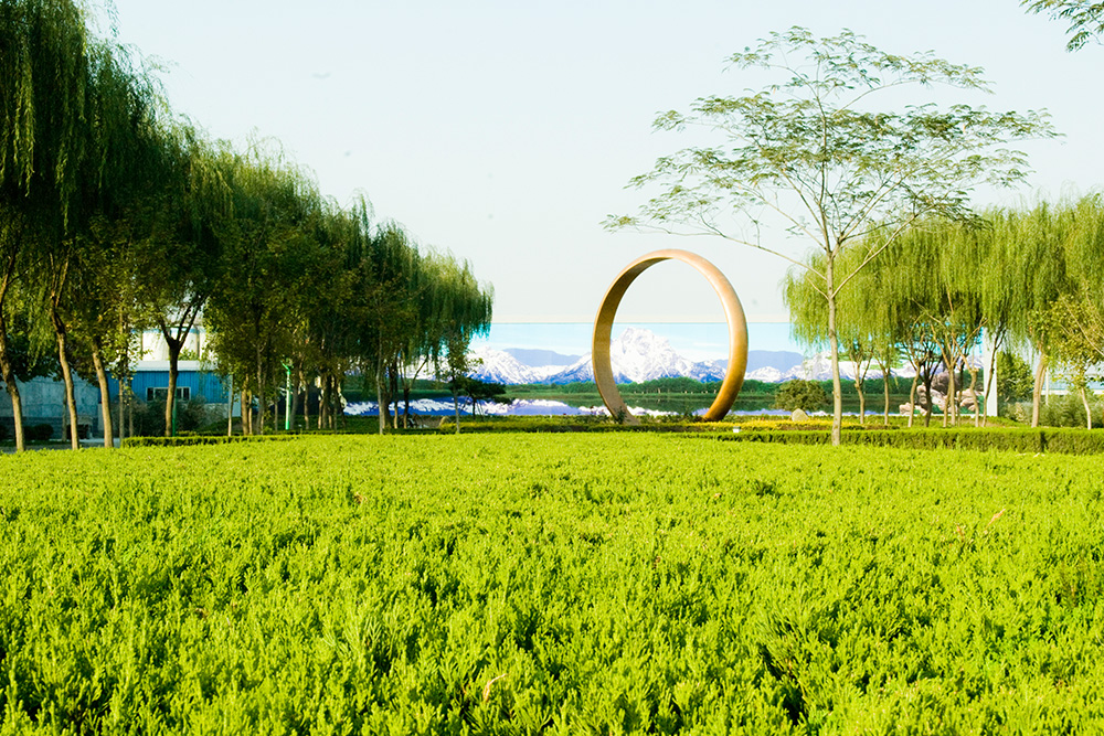 點(diǎn)擊查看